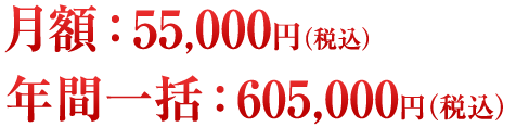 月額55,000円（税別） 年間一括55万円（税別）