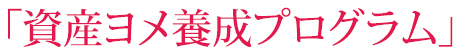「資産ヨメ養成プログラム」